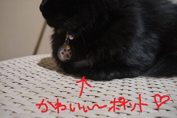 ~モデル気分~ らら編