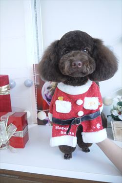 ☆Xmasコスプレ写真☆