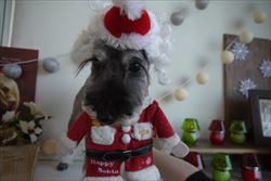 ♪Xmasコスプレ♪
