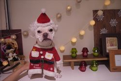 ♪Xmasコスプレ♪
