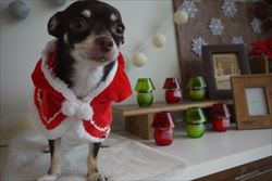♪Xmasコスプレ♪