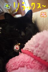 今シーズンから☆