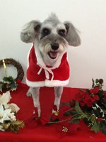 ☆本荘店もサンタさんでいっぱい☆