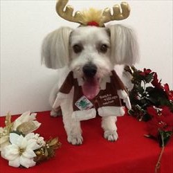 ☆コスプレパーティーin本荘☆
