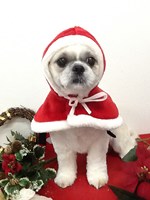 ☆わくわくのXmasin本荘☆