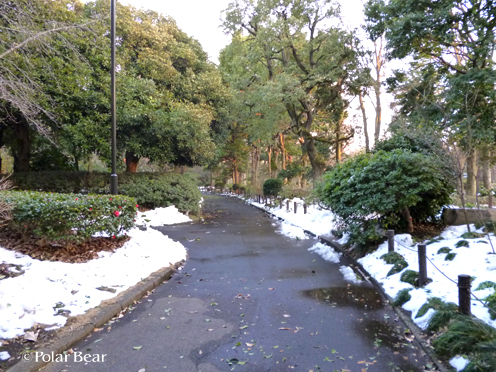 雪の後の九段下・北の丸公園は（＾＾；