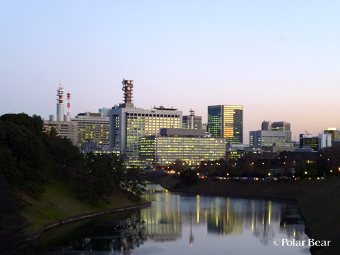 夕方のビル群の灯りがきれいでした（＾＾*