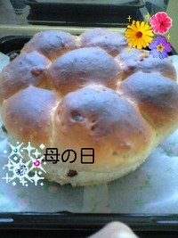 今日は母の日