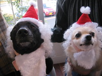 クリスマスですよ～☆
