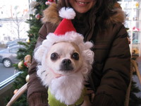 クリスマスですよ～☆