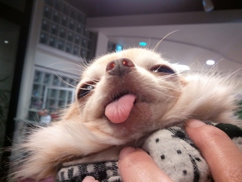 ☆財前くん☆