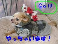 サンタがやってきた!