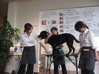 ブラッシング講習会
