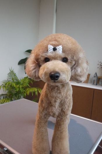 ☆そらくん☆