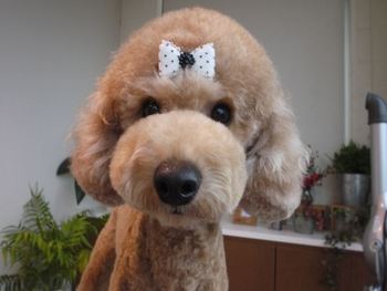 ☆そらくん☆