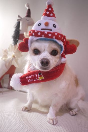 ♪今日もはりきってご紹介♪