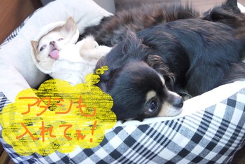 ～ある日の一コマ～