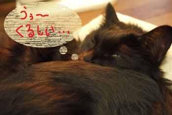 ～ある日の一コマ～