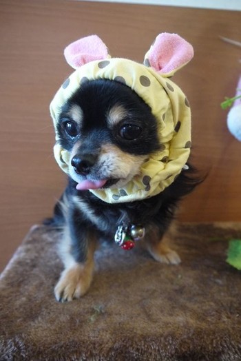 ファッションリーダー♪♬