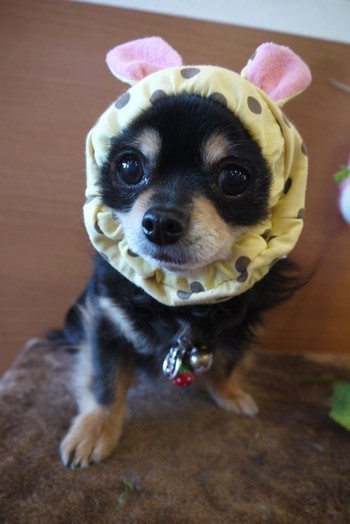 ファッションリーダー♪♬