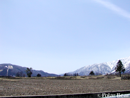 白馬村の素敵な景色です(^^)
