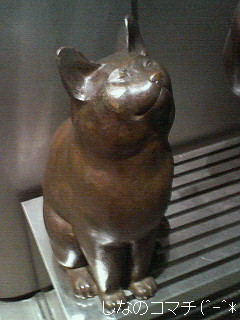 猫さんだったのでした(^ー^*