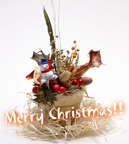 ☆ Merry Cristmas ☆