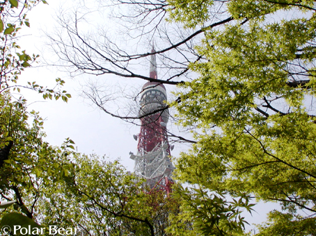 東京タワーと増上寺の間の【もみじ谷】は