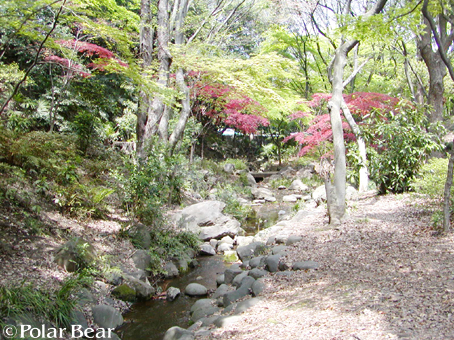東京タワーと増上寺の間の【もみじ谷】は