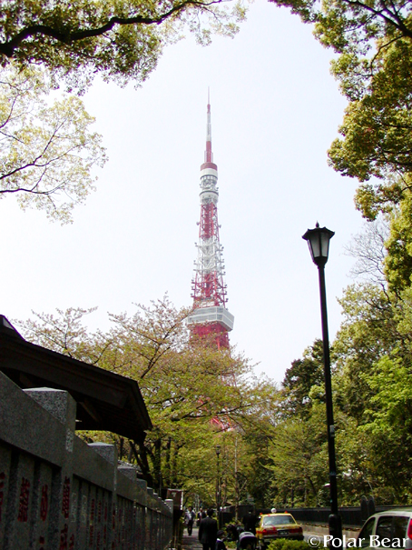 【東京タワー】です☆=