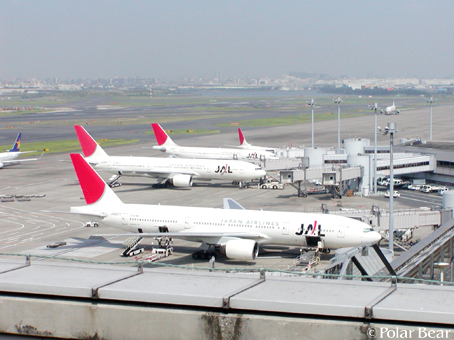 緑色の尾翼のJALの飛行機は