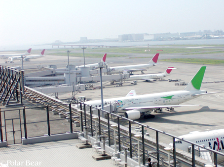 緑色の尾翼のJALの飛行機は