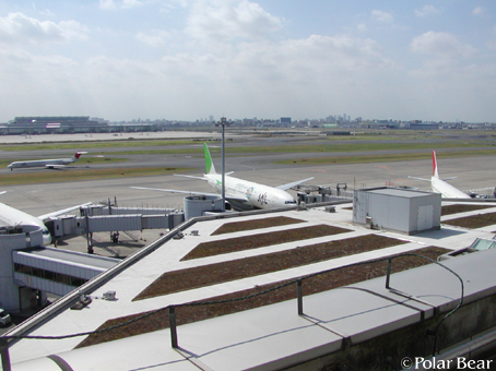 昨日もJALの「空のエコ」飛行機を観ました☆=【羽田空港】