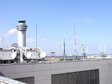スクスク成長中の【東京スカイツリー】も見えるんです!
