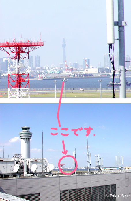 スクスク成長中の【東京スカイツリー】も見えるんです!