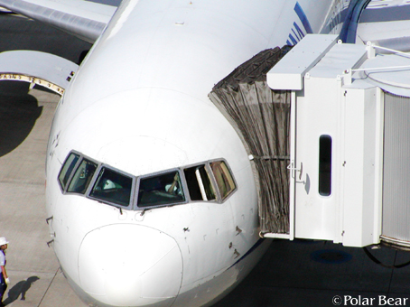展望デッキでのビックリです(◎o◎)【羽田空港】