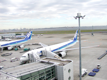 いつもの展望デッキです。 羽田空港にて