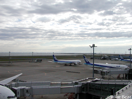 いつもの展望デッキです。 羽田空港にて