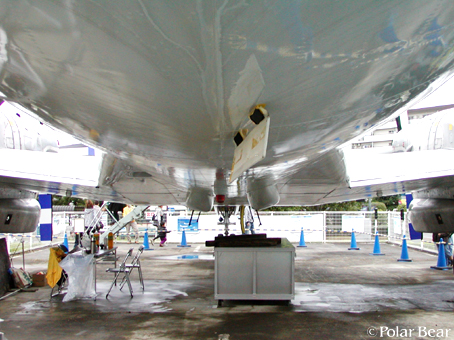 どの部分でしょうか!?《回答編》 所沢航空記念公園にて