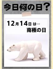 12月14日は【南極の日】です☆=