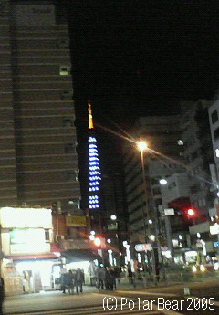 東京タワー【ダイヤモンドヴェール】の光り☆=