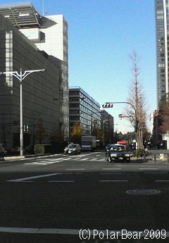 国際フォーラムとはとバス乗り場です(^^*