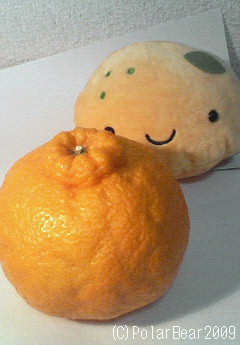 【備忘録】出張まであと3日です(^^)【その1】