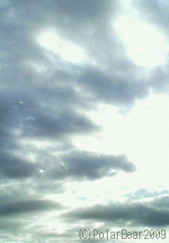 とても冬らしい雲が空を覆っております。