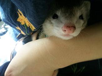 うっとりわさびさん(^^)