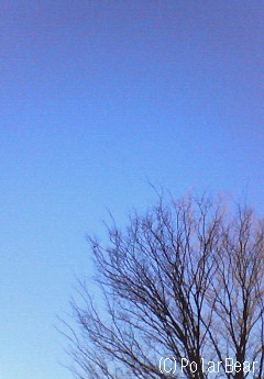 空気は冷えておりますが快晴になりました☆=