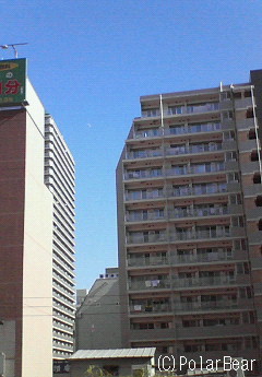 朝のお月さまです☆=