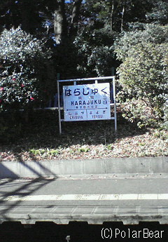 「日曜日の竹下通りだー!」という賑わいが