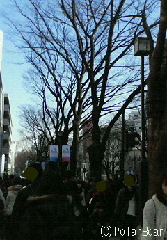 表参道の模様です(^ー^* 【とことん青森2010】