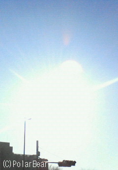 眩しい太陽を嬉しく思います(^▽^*